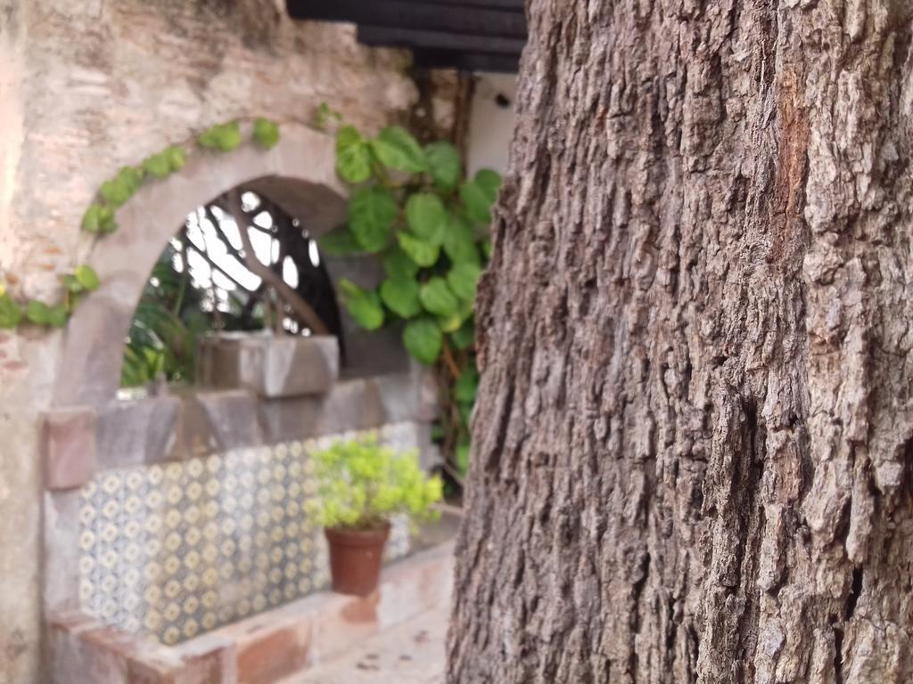 Hotel&Spa Doña Urraca San Miguel De Allende Exterior foto